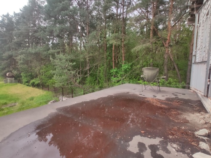 Дача возле соснового леса - фото 1