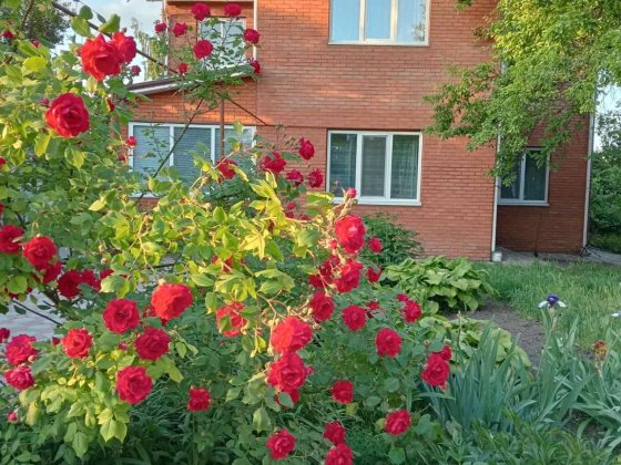 Продам будинок в смт Обухівка