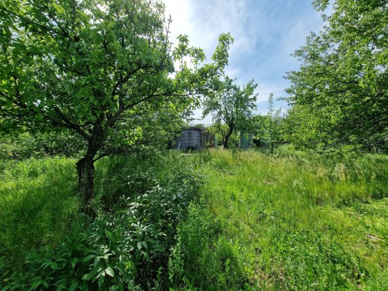 Продам дачу Домик кирпичный  за Подгородним сразу ст Зелений Вогник Підгородне