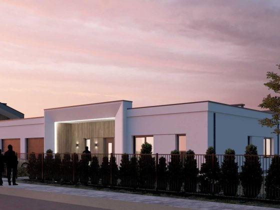 Сучасний одноповерховий будинок Черниев