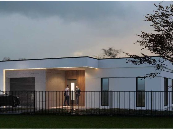 Сучасний одноповерховий будинок Черниев