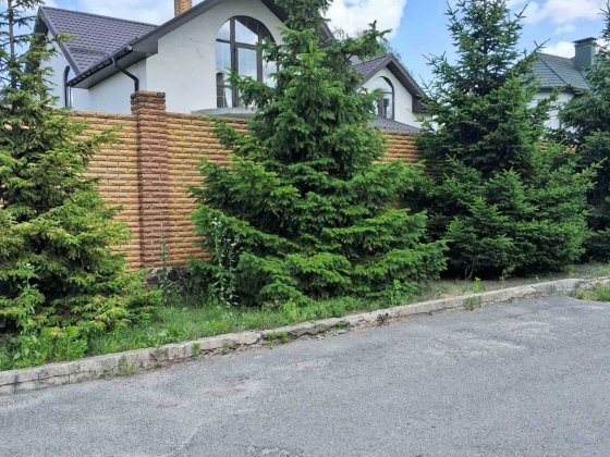 с. Гореничи продам усадьбу с двумя домами 240 м2 и 338 м2 ул. Проектна Гореничі