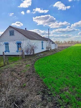 Продажа будинку с.Нова Маківка , Білоцерківський рн. Київська обл. - фото 1