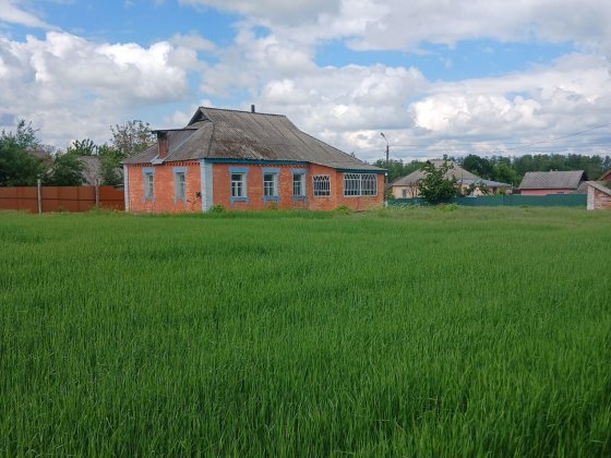 Будиночок під відновлення. Миронівка