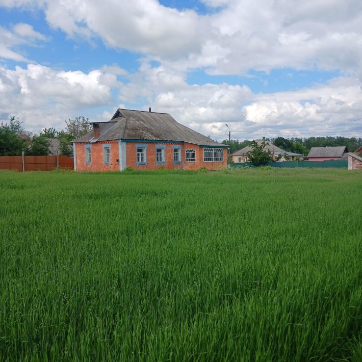 Будиночок під відновлення. - фото 1