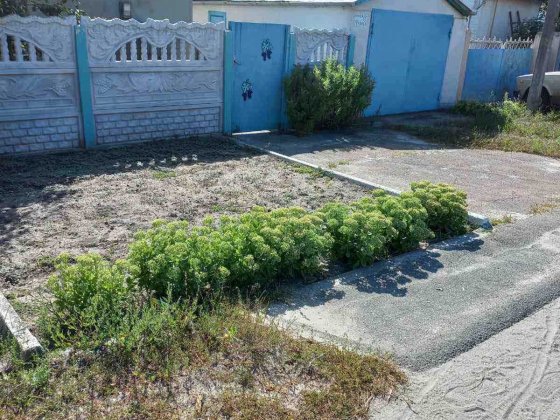 Без%, Будинок Макарів Єкологія Вигода