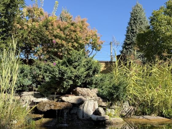 Будинок з басейном та гостьовим будинком в тихому місці Дмитрівка Дмитровка