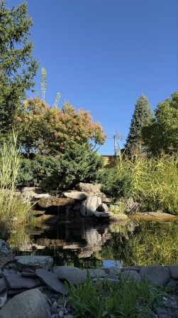 Будинок з басейном та гостьовим будинком в тихому місці Дмитрівка - фото 1