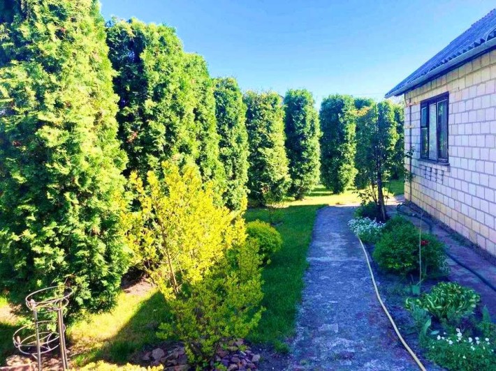 Продам дачу с.Лютіж.Бесідка,літня кухня,хозблок,сад - фото 1