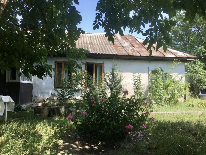 Продам будинок з великою ділянкою в с. Пилиповичі - фото 1