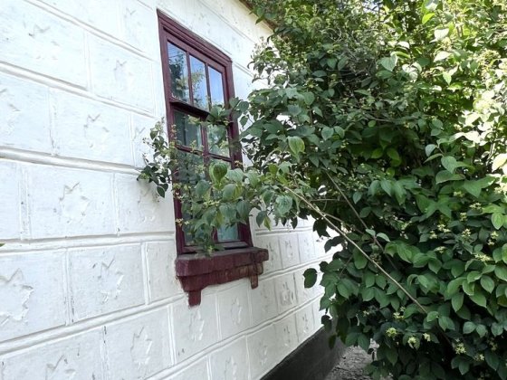 Продається будинок поруч з базаром! Гайворон