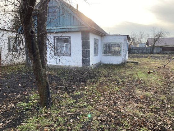 Продам будинок в центрі міста Малая Виска