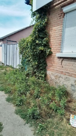 Продам дачу з жилим будинком кооп будівельник - фото 1