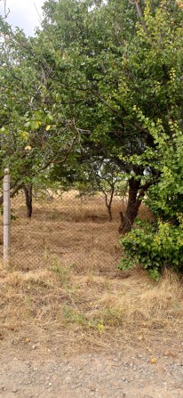 Продам дачу, участок в СТ Зайчевське - фото 1