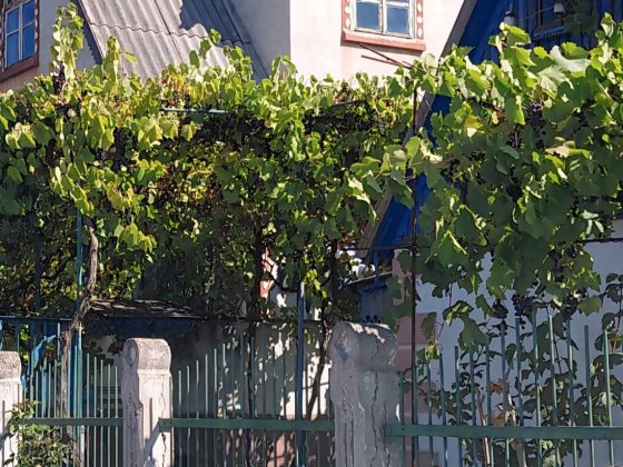 Продам отличный  дом- дачу Великодолинське