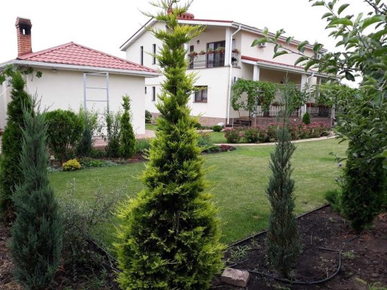 Великолепный дом в центре Фонтанки Фонтанка