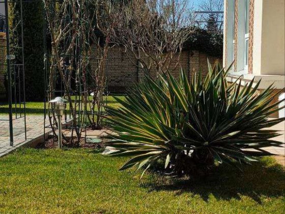 Дом у Моря 3 Уровня  6 соток Гараж Подвал Совиньон Центр Бурлача Балка