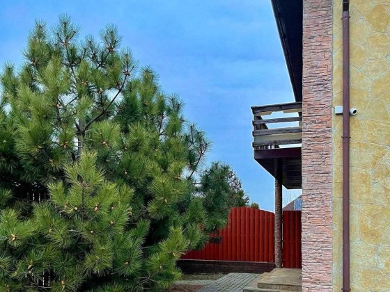 Продам! Срочно! Крутой  домик  возле  Черного моря! Новая Дофиновка