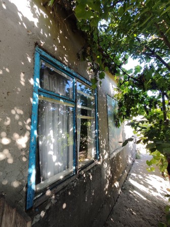 В продаже дом в с. Маяки - фото 1