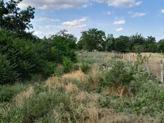 Продам дом в Беляевке .