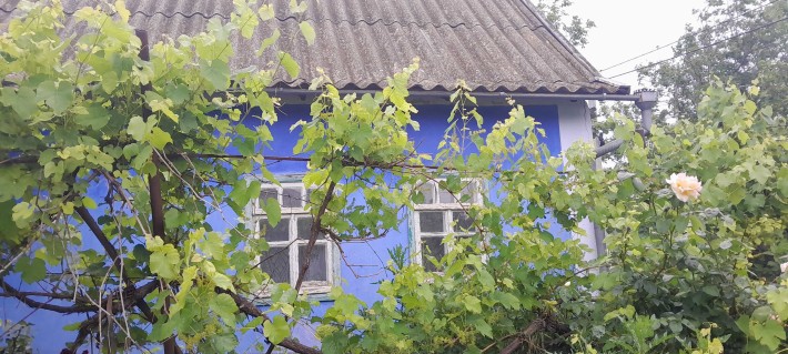 Продам дом в центре Беляевки - фото 1