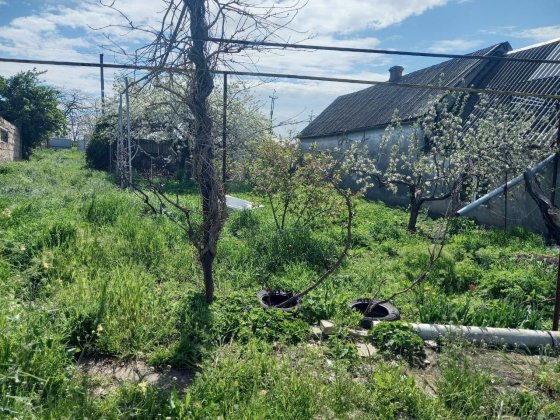 Будинок на великій ділянці в с. Великий Дальник Великий Дальник