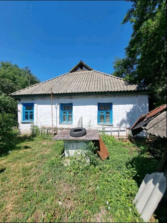 Мачухи, окремий будинок з великою земельною ділянкою. - фото 1