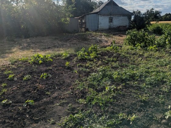 Будинок Полт р-н с.Бречківка Горбанівка