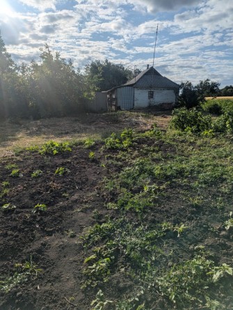 Будинок Полт р-н с.Бречківка - фото 1