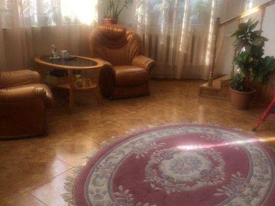 Продається просторий будинок 540м, ділянка 10 сот, Петрики Петриков