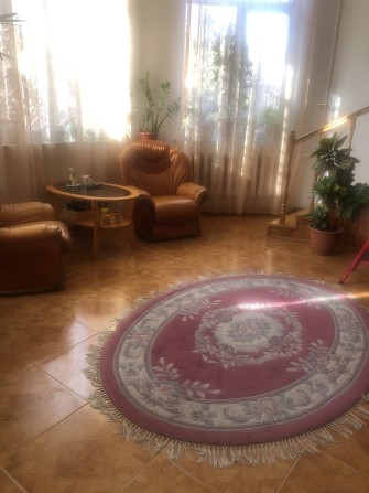 Продається просторий будинок 540м, ділянка 10 сот, Петрики - фото 1