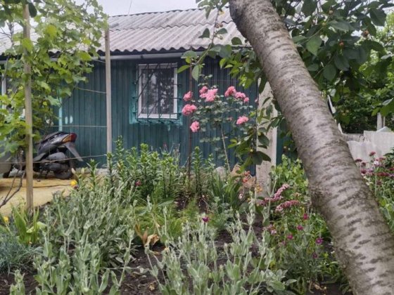 У продажу дача в Малій Данилівці Малая Даниловка