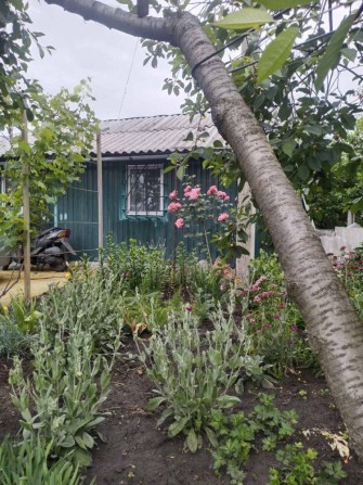 У продажу дача в Малій Данилівці - фото 1