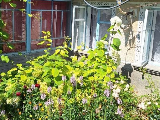 Продам затишний будинок Сатанов