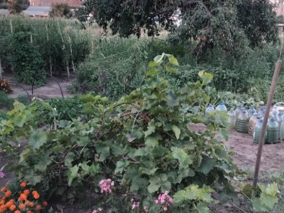 Продаж Будинку Слобода район  лікарні Красная Слобода