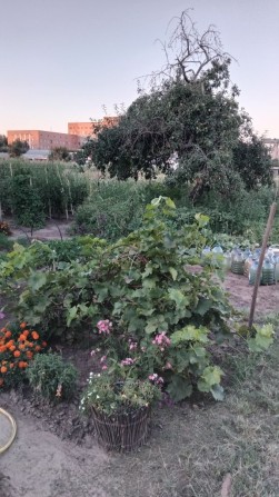 Продаж Будинку Слобода район  лікарні - фото 1