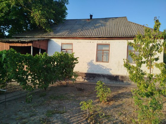 Продається будинок із великим подвір’ям Тальное