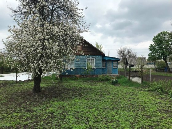 Дерев'яний будинок. Центр м. Бахмач Бахмач