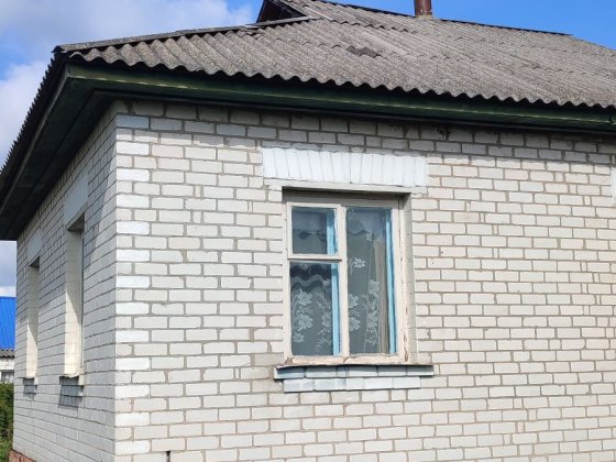 Добротний будинок в Анисові поряд ЖД р. Десна Анисов