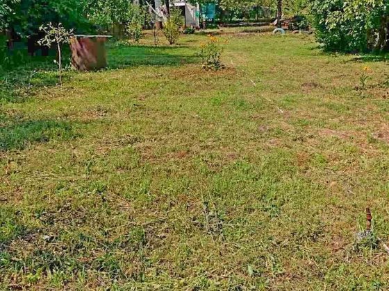 Продам кирпичный дачный домик на Поселке. Белая Церковь