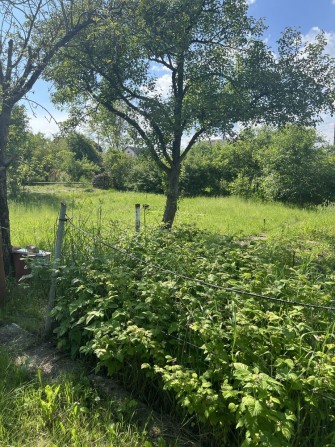 Продам дачний участок в Гайку - фото 1