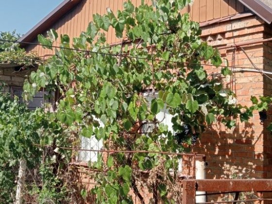 Продаж 2х кімнатного газифікованого будинку в Центрально міському р-ні Кривий Ріг