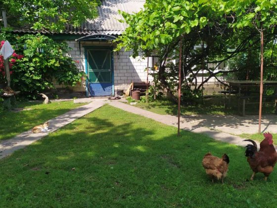 Продам дом село Пришиб Кременчуг