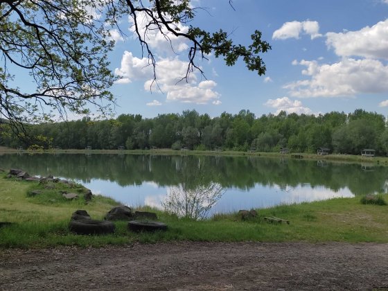 Дача под Ужгородом. Оноковцы. Ореховское озеро, лес. С ремонтом. Ужгород