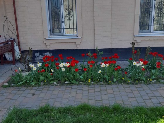 Окремий будинок в полтаві Полтава