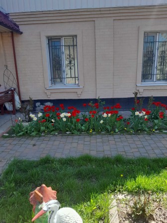 Окремий будинок в полтаві - фото 1