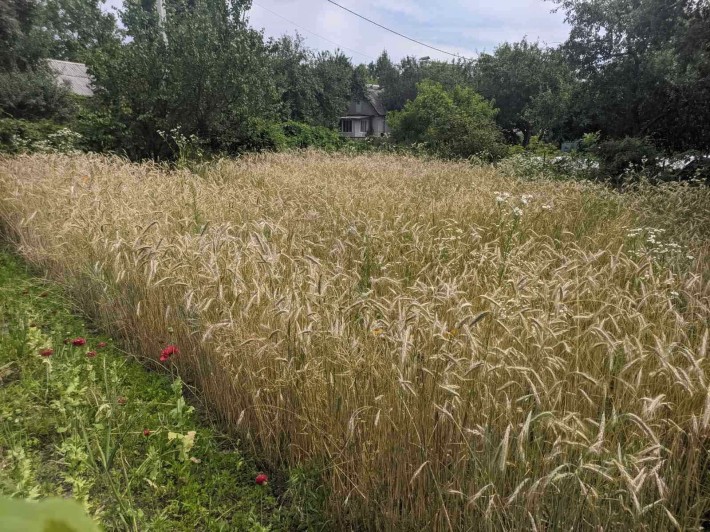 Продається Дача Земснаряд - фото 1