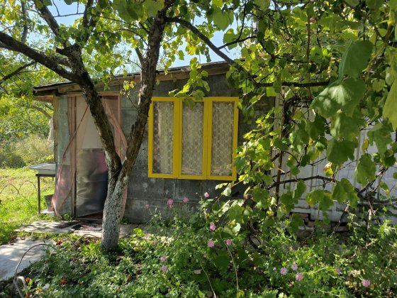 Чудова доглянута дача. Пролетарський гай. 10 сотих землі. Чернігів