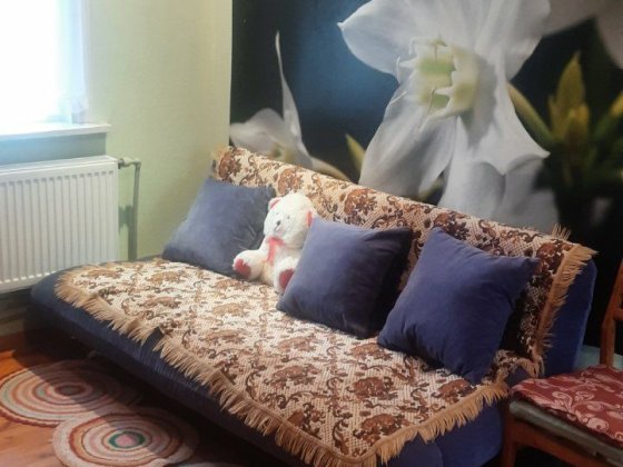 Частина будинку в центрі Житомир