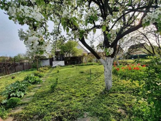 Чудова локація! Будинок  ділянка 57 Садова Мартишів Осокорки! Киев